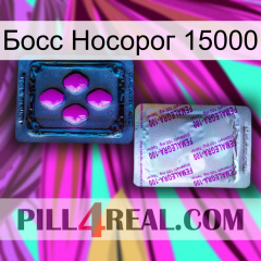 Босс Носорог 15000 37